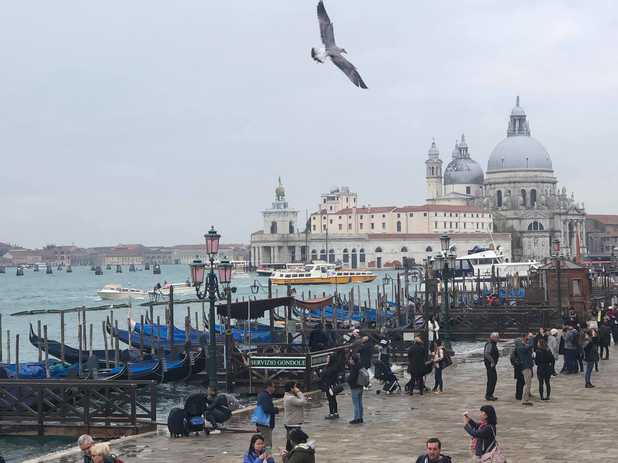 Bienal de Venecia 2019 y Museos de Italia «Año Vinciano»